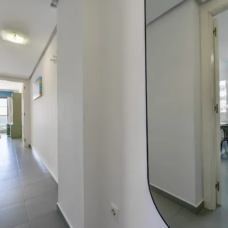 Hipocampos En Apartamento Calpe