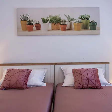 Hipocampos En Apartamento *