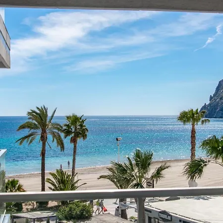 Hipocampos En Calpe