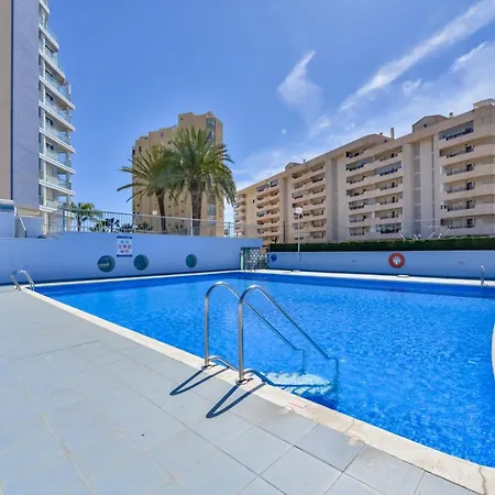 Hipocampos En Calpe