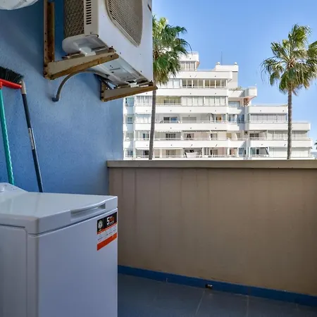 Hipocampos En * Calpe