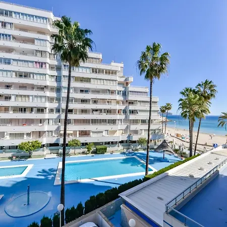 Hipocampos En Apartment