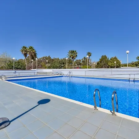 Hipocampos En Calpe