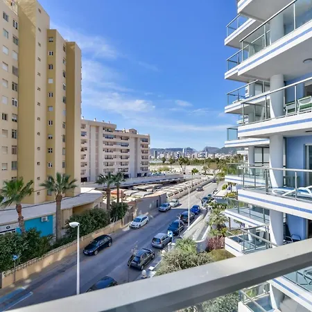 Hipocampos En Calpe