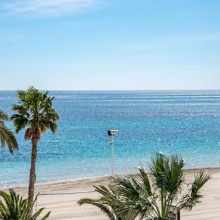 Hipocampos En * Calpe