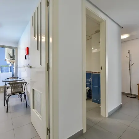 Hipocampos En Apartamento *