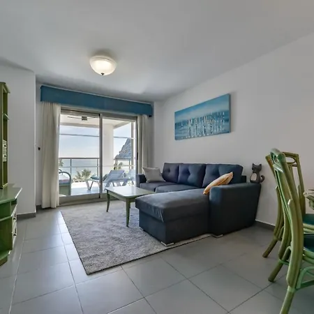 Hipocampos En Apartamento