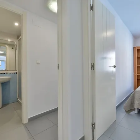 Hipocampos En Apartamento