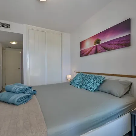 Hipocampos En Apartamento